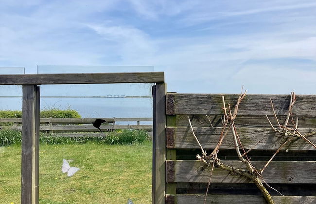 6 Pers Holiday Home Aurora With Directly on the Lauwersmeer - Foto 28