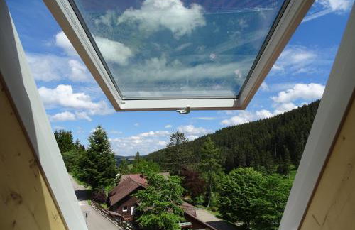 Schwarzwald-Hotel Kraeutle - Foto 43