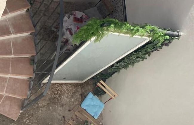 Malagueña Salerosa. - Photo 37