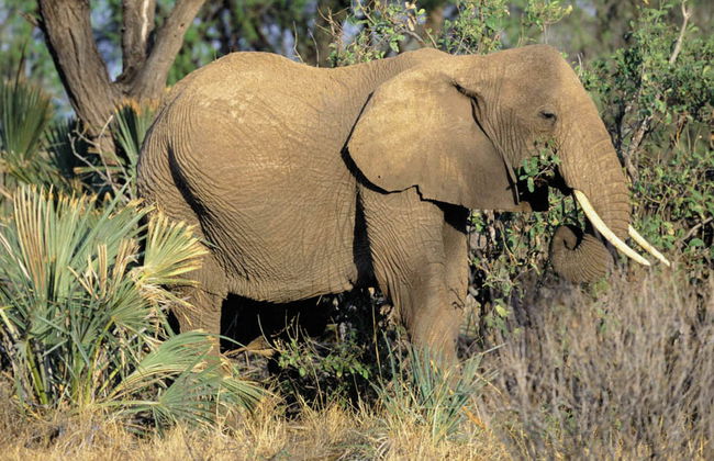 Selwo Aventura - Estepona - Photo 4