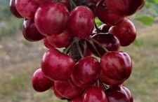 Casa Rural Casa Puntes - Photo 26