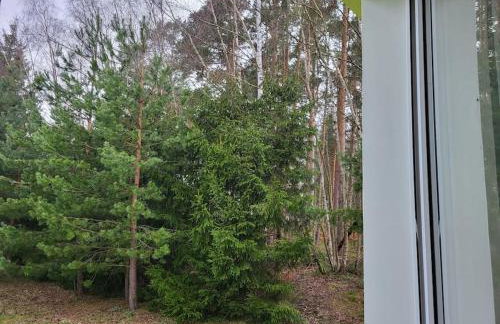 Cisza i Las - Dom na wyłączność, Prywatny Las, 2 pokoje, Polanica Zdrój - Foto 28