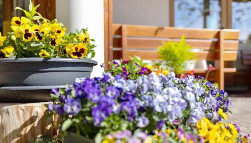 Al Cargá San Vigilio di Marebbe - Foto 3