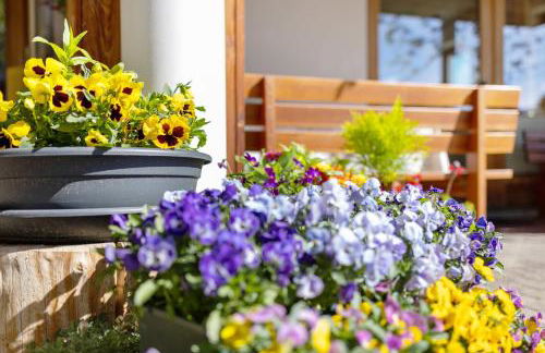 Al Cargá San Vigilio di Marebbe - Foto 3