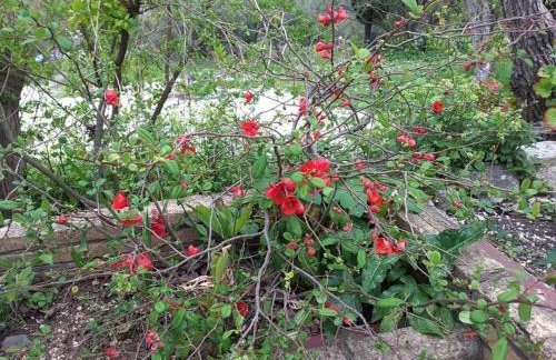 STATHI'S COTTAGE - Foto 27