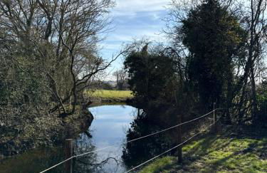 'Russet' Hut on fruit farm - Foto 30