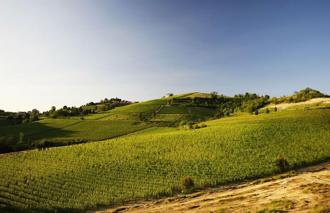 Agriturismo La Biòca - Foto 37