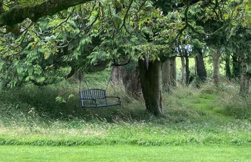 The Cabin at Barnstormers, luxury woodland setting - Foto 23