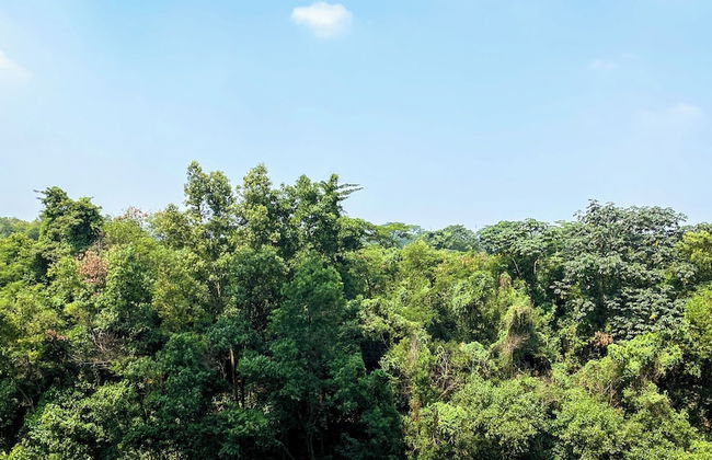 Best Choice and Homey 2BR Podomoro Golf View Apartment - Foto 18