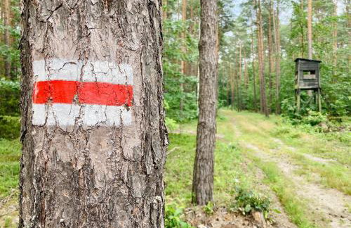 Uroczysko Lubiaszów - Foto 31