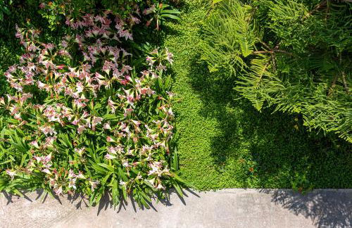 The backyard- Κατοικία στην Αγριά, Βόλου - Foto 6