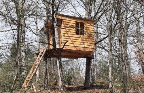 Gîte en pleine nature avec Wifi, animaux acceptés - FR-1-489-122 - Foto 35