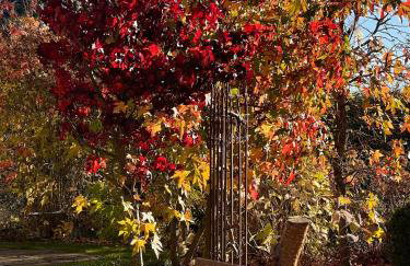 Ferienhaus Buren-Hof - Foto 21