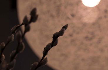 Vallivana Suites - Foto 72