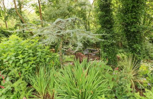 Charlecote House - Photo 22