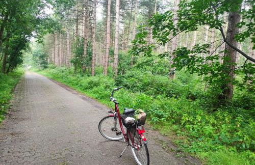 Mamat Ferienwohnungen - Foto 30