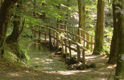 Herrenhaus Kallbach - 4 Sterne SUPERIOR - Foto 14