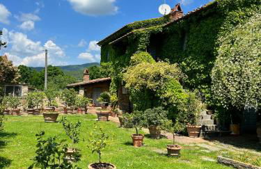 Villa Elena Tuscany - Pool & Garden Arezzo - IHH - Foto 47