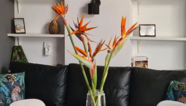 Hlius Brand New Apartments - Photo 3