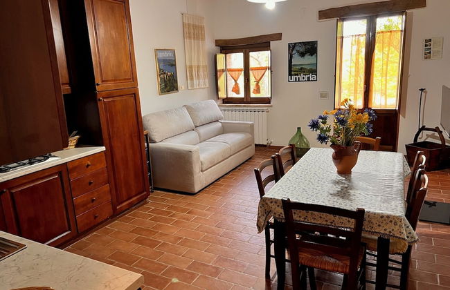 Il Mulino delle Canutole - Foto 3