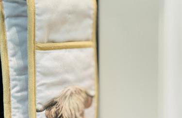 Cosy City Centre Apartment - Foto 31