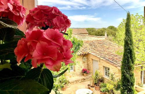 L’île aux fleurs - Foto 10