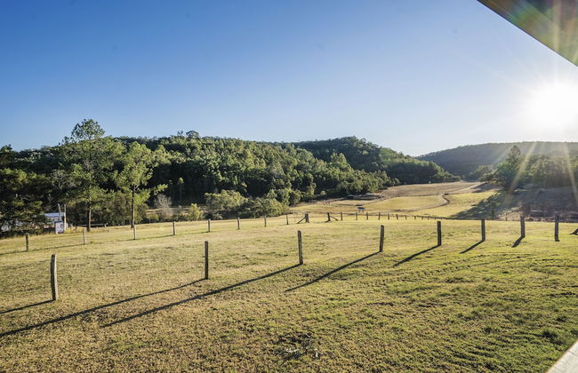 Big Yango House - Foto 12