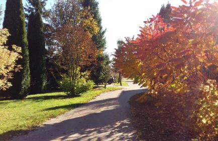 Przystanek Trześcianka - Foto 34