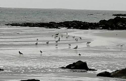The Fisherman's Snug self catering North Uist - Foto 35