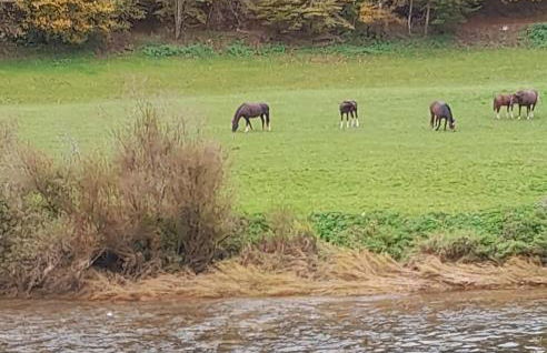 Soubey (Clairbief) - Foto 20