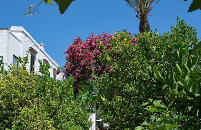 Masseria Il Frantoio - Foto 24