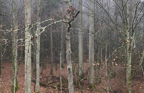 Apartament Nieznany Bór - Foto 34