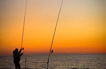 Sunny Apartament PUSTKOWO -SUNNY SIDE BALTIC- - Photo 58