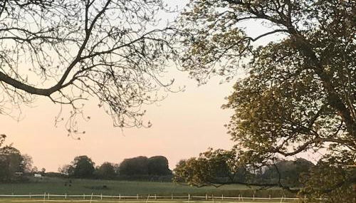 The Granary, Wolds Way Holiday Cottages, spacious 3 bed cottage - Foto 3, Garden view
