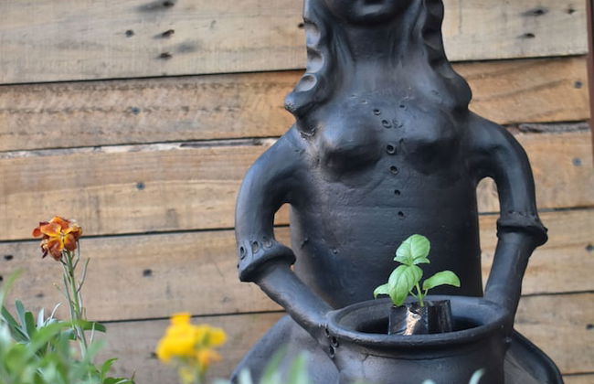 Cumbres Apart - Photo 48