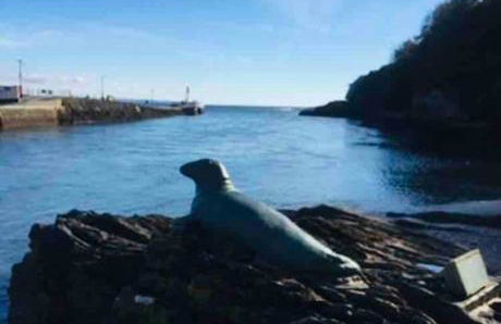 Chy Pyscador - Foto 16