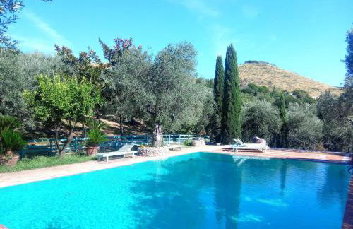 Deliziosa casa sull albero a 30 minuti da Roma - Foto 26