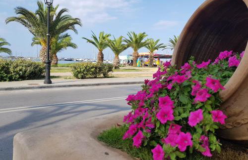 Petite palace - Foto 27