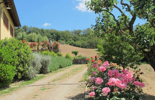 Agriturismo Podere Filicaia - Foto 39