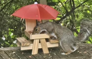 Bryn Cnocell - Foto 25