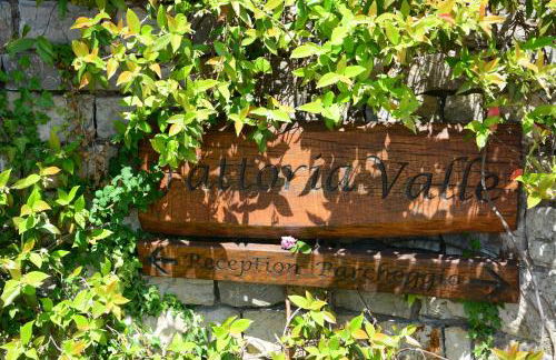 Relais Fattoria Valle - Foto 24