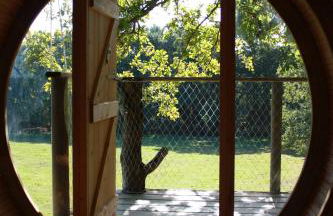 Dihan Evasion - Foto 70