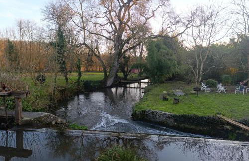 Gîte les pieds dans l'eau - Photo 15