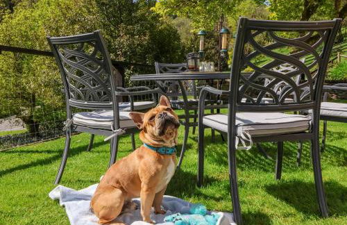 Where Families Reconnect And Dogs Truly Belong - Foto 3