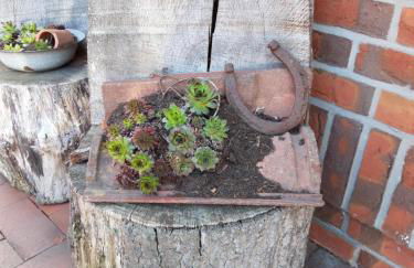 Ferienhof Kleemann - Foto 39