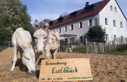 FeWo EselGlück Wälder Berge Seen Ruhe Naturidylle zw Bautzen Zittau Görlitz - Oberlausitz - Foto 1