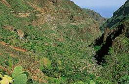 Tu rincón favorito, en Villa de Agüimes - Foto 10