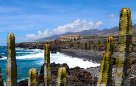 Sandy Shores Oasis - Foto 40