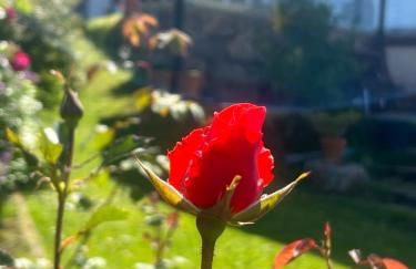 Villa Marta Casa de Indianos Passive House - Foto 20