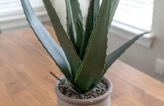 The Martin by Stay Local Nashville - Foto 3